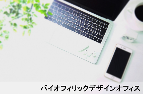 バイオフィリックデザインオフィス