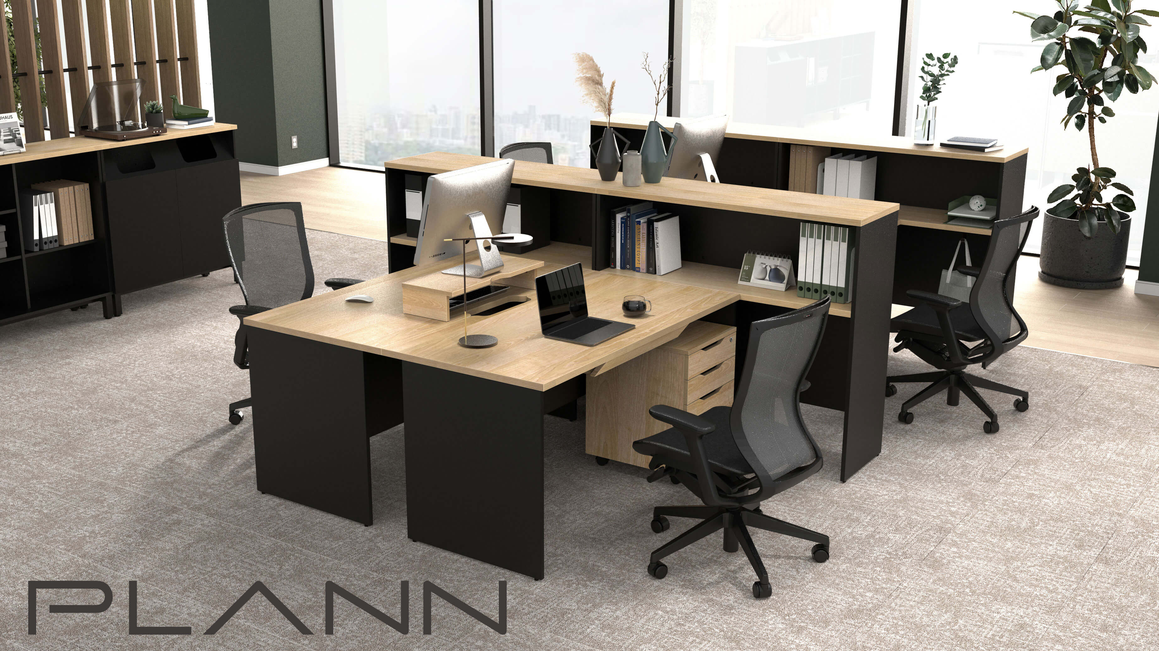 PLANN