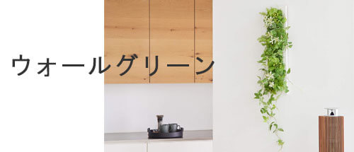 ウォールグリーン