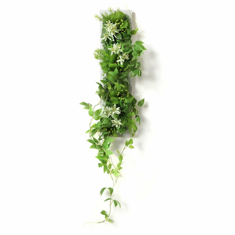 テッセンソウ×ハツユキソウ PRGR-1308