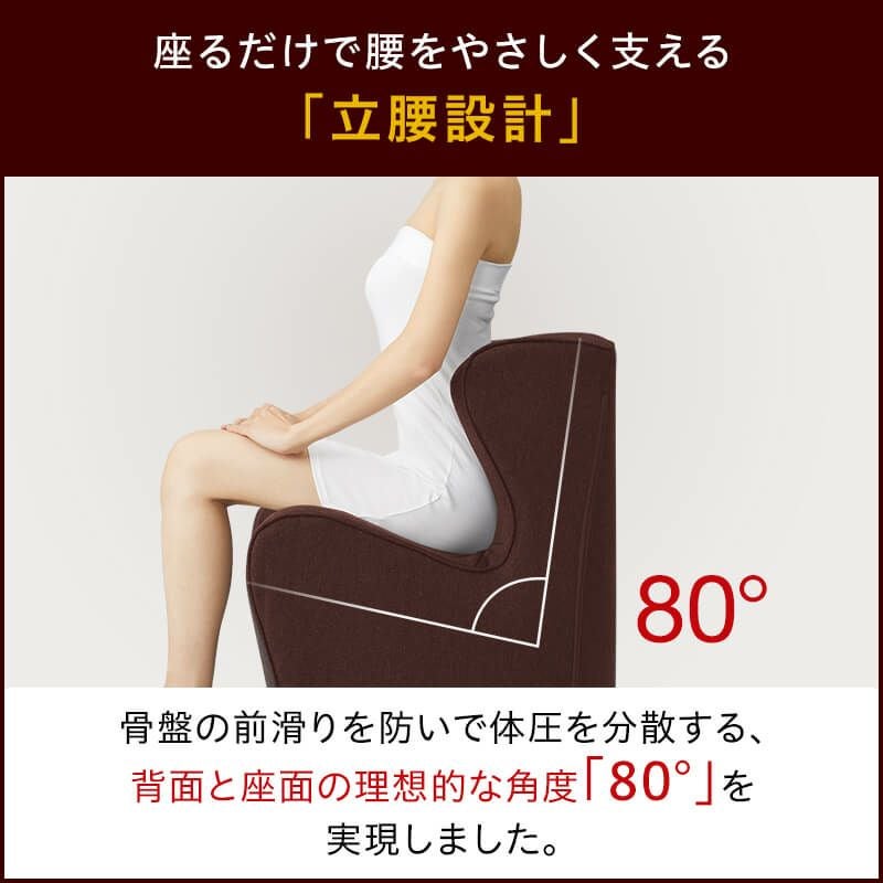個人宅配送可能商品】Styleシリーズ Dr. Chair Plusスタイルドクター 