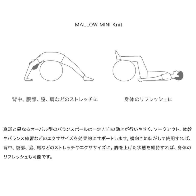 アール・エフ・ヤマカワ ドリーム EXERCISE MALLOW Knit オーバル型バランスボール グレー◆0070-4199-00