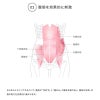 アール・エフ・ヤマカワ ドリーム EXERCISE FITNESS BEAN 腹筋エクササイズ座椅子 ターコイズブルー◆0070-4113-00