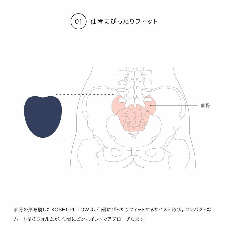 アール・エフ・ヤマカワ ドリーム RELAXKOSHI-PILLOW 仙骨のストレッチクッション ネイビー◆0070-4106-01