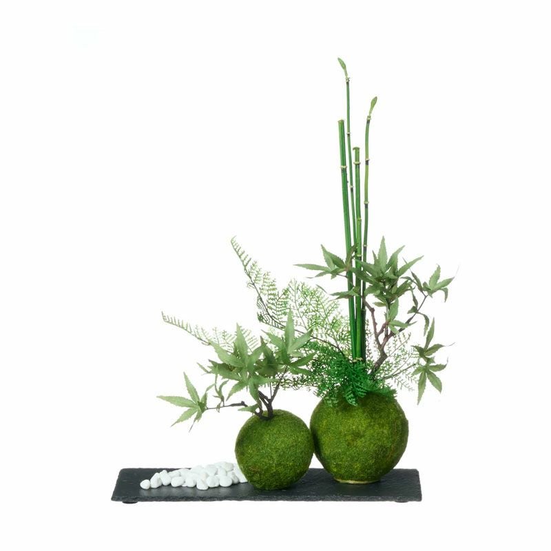 モミジ 寄せ植え苔玉黒岩皿◇PRGR-1076 | オフィス家具の通販なら
