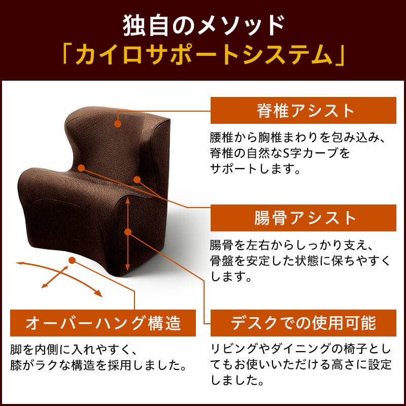 訳ありセール】【メーカー取り寄せ商品】Styleシリーズ Dr. Chair Plus